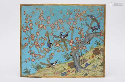 A plaque in Chinese cloisonné 'birds and prunus blossoms', 18th - 19th century (*) (44x38cm)
