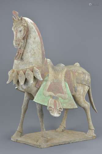 A very large Chinese Tang dynasty style standing painted pottery figure of a horse. 69cm tall