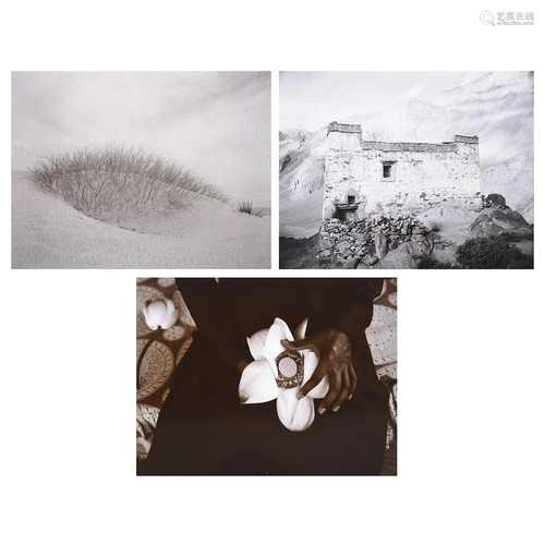 Linda Connor 3 silver gelatin prints