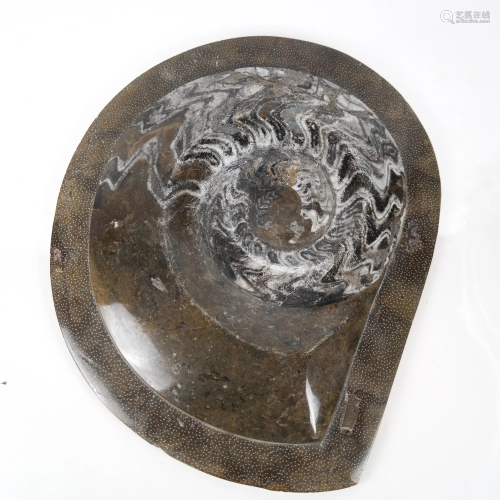 Marble Ammonite Sculpture Slab