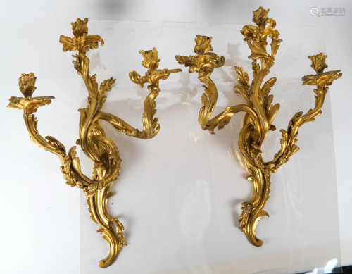 Pair Rococco-Style Bronze Dore Sconces