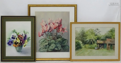 M Waddell, c. 1920, Watercolours, three (3), Pansi…