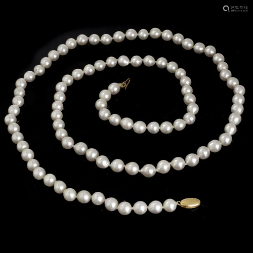 Pearl Necklace