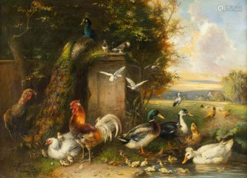 JULIUS SCHEUERER 1859 Munich - 1913 Planegg Poultry
