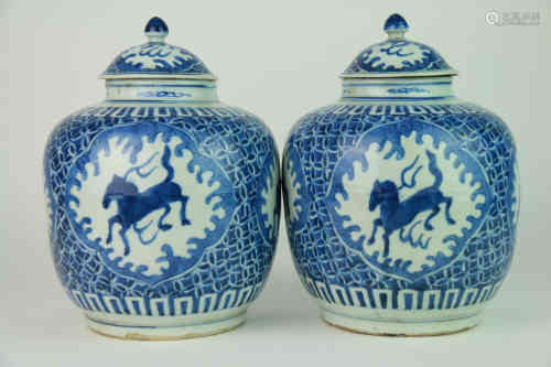 A Pair of Chinese Blue and White Porcelain Jars