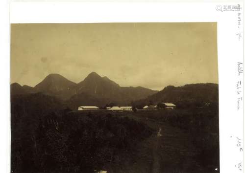 Cinq photographies des Antilles au XIX° Epreuves albuminées