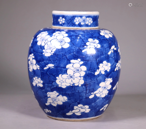 Chinese Kangxi Blue & White Porcelain Ginger Jar