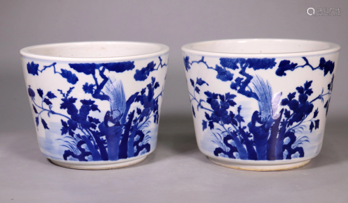 Chinese 19 C Blue & White Porcelain Planters