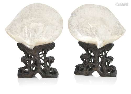 A pair of carved shells on wood stands 19th century (4)