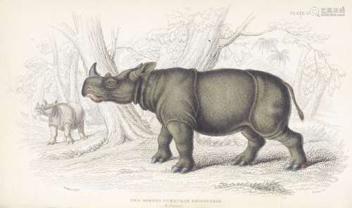 JARDINE (WILLIAM) The Naturalist's Library, 40 vol., Edinburgh, W.H. Lizars, 1842-1843