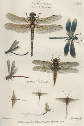 BARBUT (JACQUES) Les genres des insectes de Linné; constatés par divers échantillons d'insectes d...