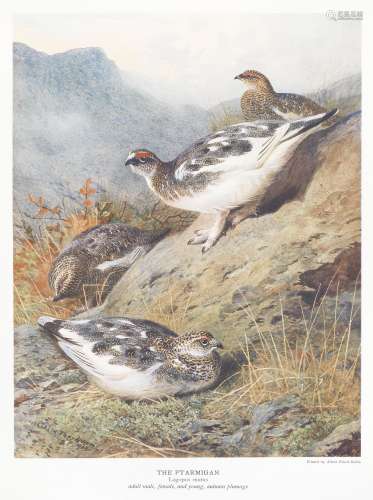 MILLAIS (JOHN GUILLE) The Natural History of British Game Birds, NUMBER 72 OF 550 COPIES, Groombr...