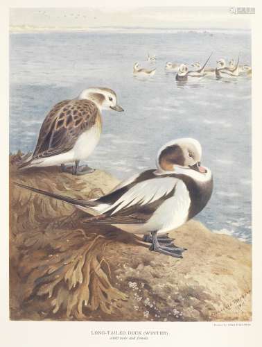MILLAIS (JOHN GUILLE) British Diving Ducks, 2 vol., NUMBER 305 OF 450 COPIES, folio (3)