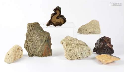 A small collection of fossils and crystals, including a piece of hematite, 8cm x 11.5cm,