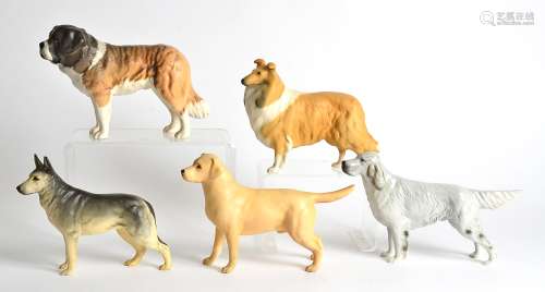 Five Beswick figures of dogs, including a St Bernard, Labrador, 'Solomon of Wendover' height 14cm