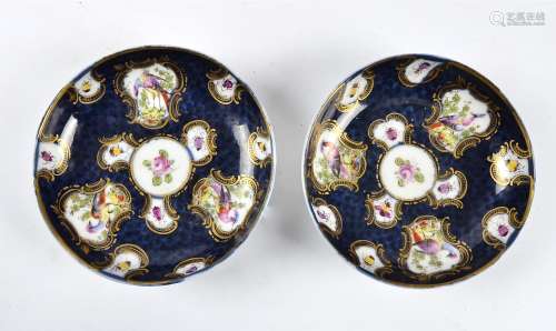 A pair of hand decorated 18th Century Worcester saucers, with cartouches of birds and insects on