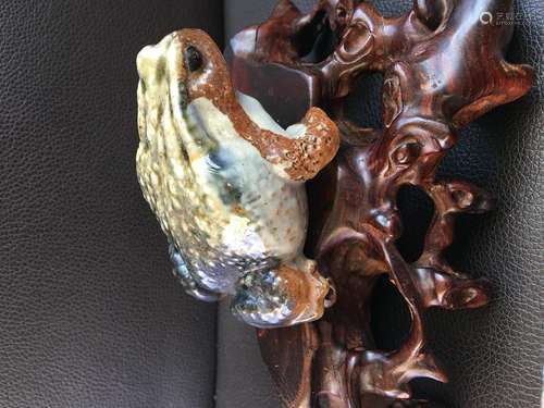 Ceramic toad