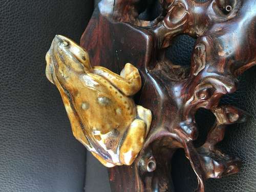 Ceramic toad