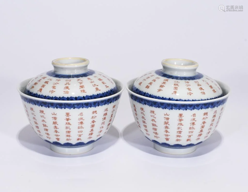 Pair of Chinese Blue and White Porcelain Cup w Cal