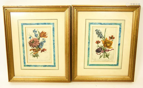 Pair 18th C. Poilly & Vauquer Botanical Engravings