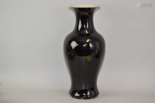 Qing Chinese Mirror Black Glaze Porcelain Vase