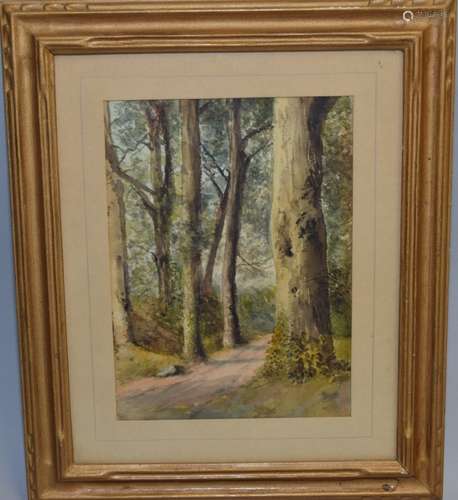 Anonymous Forest Road Watercolor in Frame