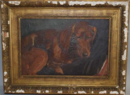 19th C. Anonymous Dog Portrait Oil on Canvas