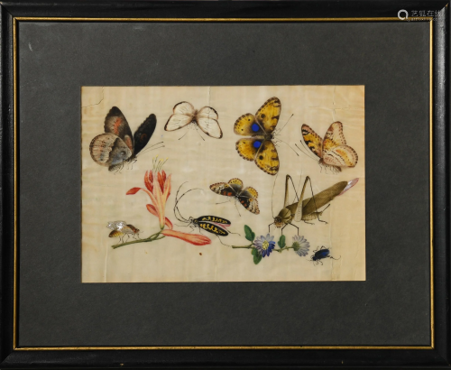 Chinese Painting of Butterflies, 19th Century