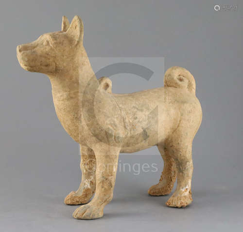 A Chinese Sichuan pottery model of a standing dog standing, Han dynasty (206BC - 220AD), with Oxford