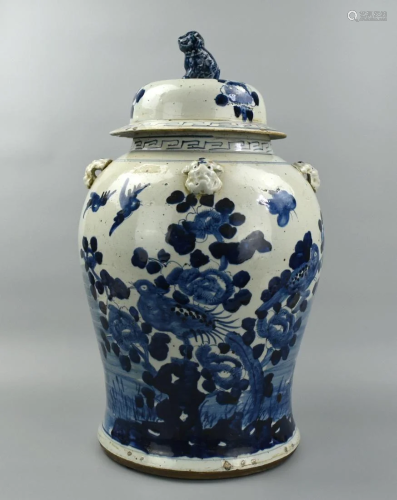 Large Chinese B & W Porcelain Jar & Cover, 19th C.
