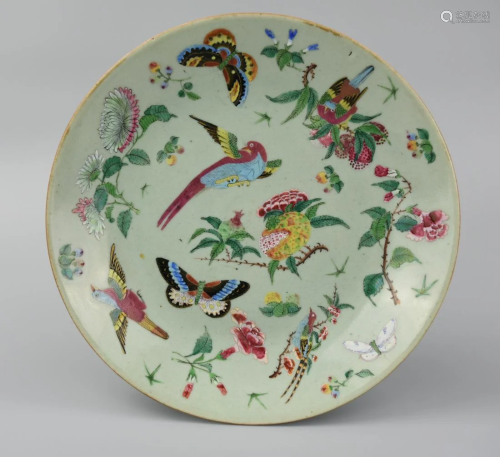 Chinese Celadon Famille Rose Plate w/ Birds,19th C