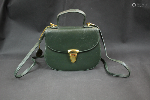 Aledy Green Purse