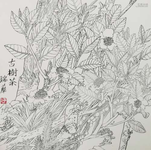 何瑞华 国画“古树茶”