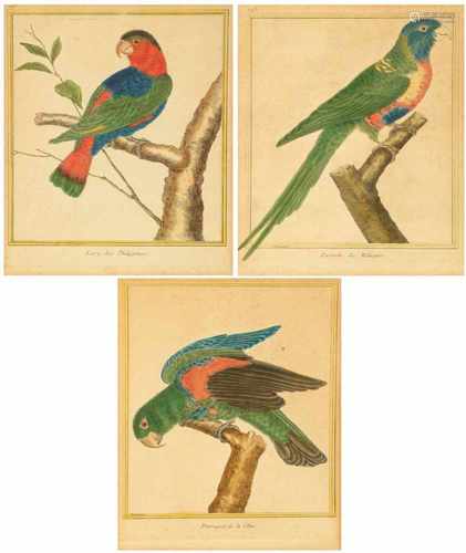 A lot with (3) handcoloured engravurings after François-Nicolas Martinet (Aklonlie, Fr. 1731 - 1800)