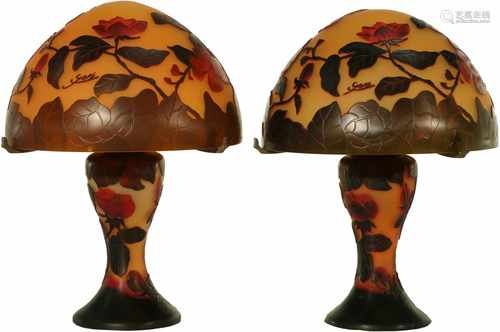 Two Lumières de la Ville - Mushroom lamp in Art Nouveau/ Emile Gallé style. b