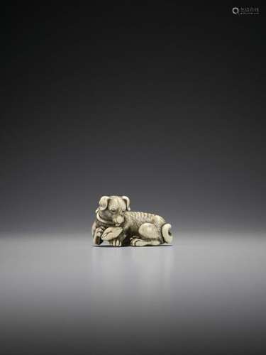 TOMOTADA: A SUPERB IVORY NETSUKE OF A DOG WITH HAM…