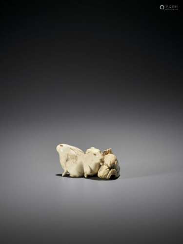 A FINE IVORY NETSUKE OF TWO HARES WITH AMBER EYES …