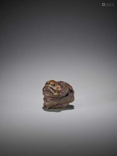 A POWERFUL WOOD NETSUKE OF A COILED DRAGON Unsigne…