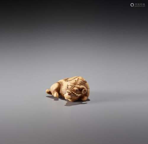 TOMOTADA: A POWERFUL IVORY NETSUKE OF A RECUMBENT …