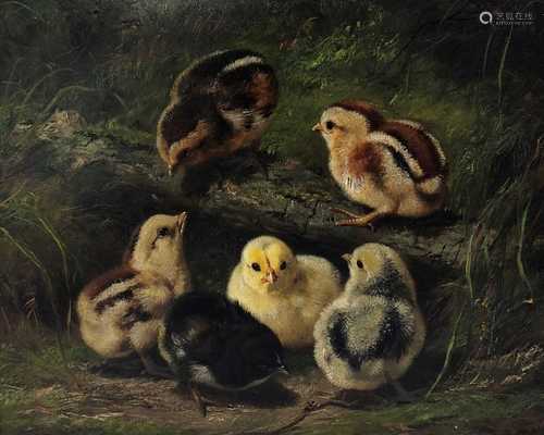 Arthur Fitzwilliam Tait, Chicks, oil on board