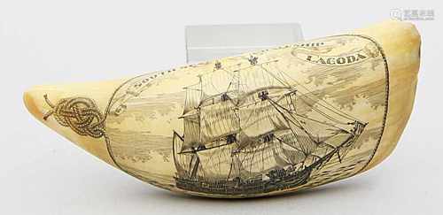 Pottwalzahn (scrimshaw).