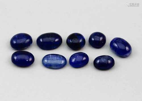 Neun blaue Kyanite, zus. 31,75 ct.