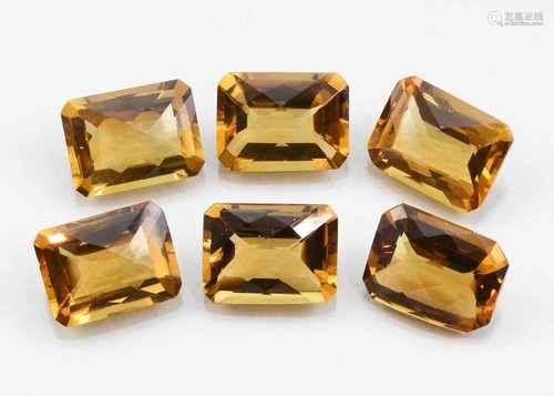 Sechs Citrine, zus. 53 ct.