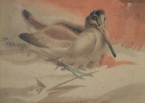 Richard Barrett Talbot Kelly (1896-1971) - Watercolour - 'Albino Woodcock', monogrammed mid left,