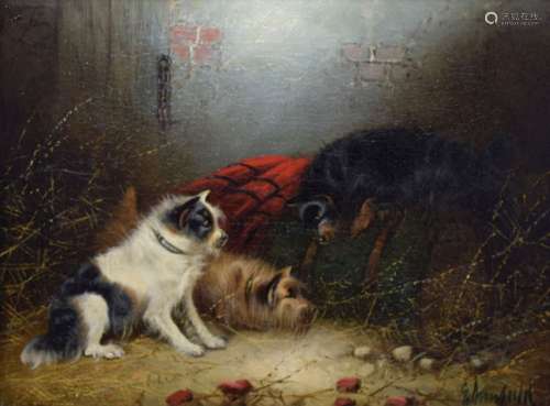 Armfield, - 19th Century oil on canvas - Stable interior with three terriers beside an upturned