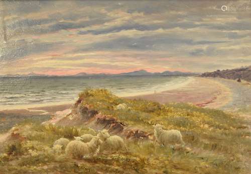 Charles H. Branscombe (1858-1924) - Oil on board - A coastal view at dusk with sheep on a headland