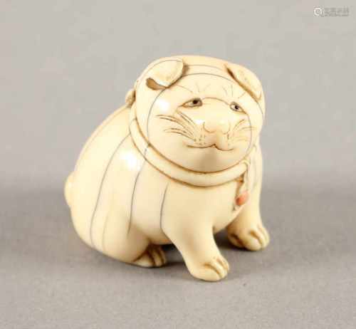 NETSUKE WELPE, Elfenbein, Augen schwarzes Horn, der mollige, sitzende Welpe trägt ein Halsband mit