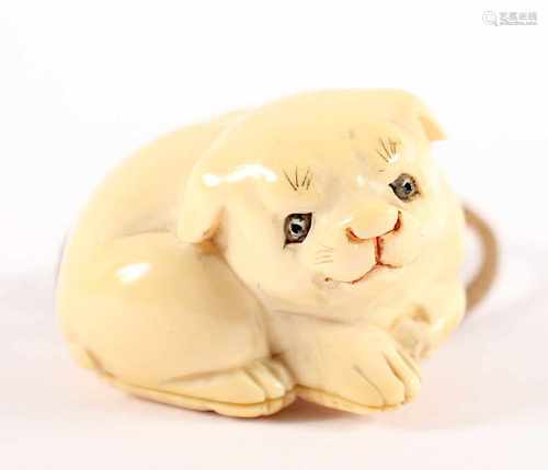 NETSUKE WELPE, Elfenbein, zweiteilig, Augen schwarzes Horn, liegender Welpe, gefärbt graviert,