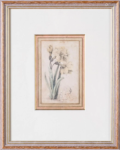 Arte Islamica Persian study of a flowerIran, 19th -