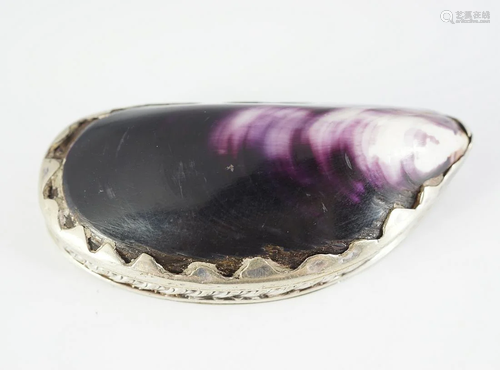 19TH-CENTURY SHELL AND SILVER PLATED SNUFF BOX